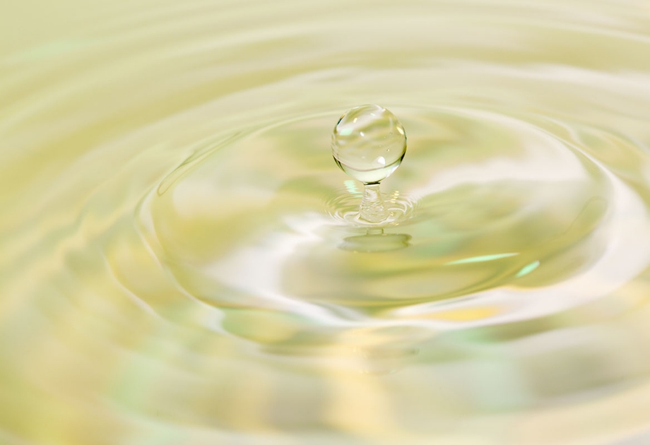 プラセンタの原料供給