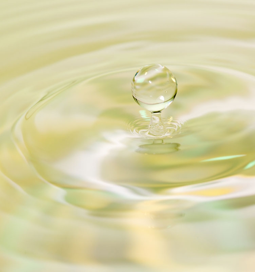 プラセンタの原料供給