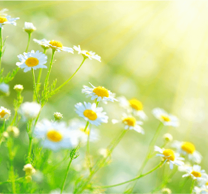 乾燥型敏感肌ケア